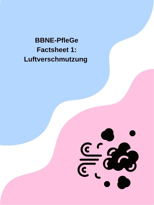 Factsheet 01: Luftverschmutzung