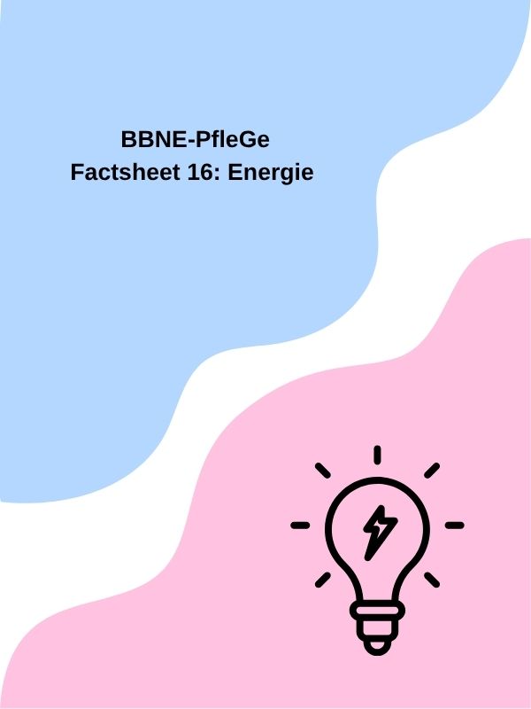 Factsheet 16: Energie