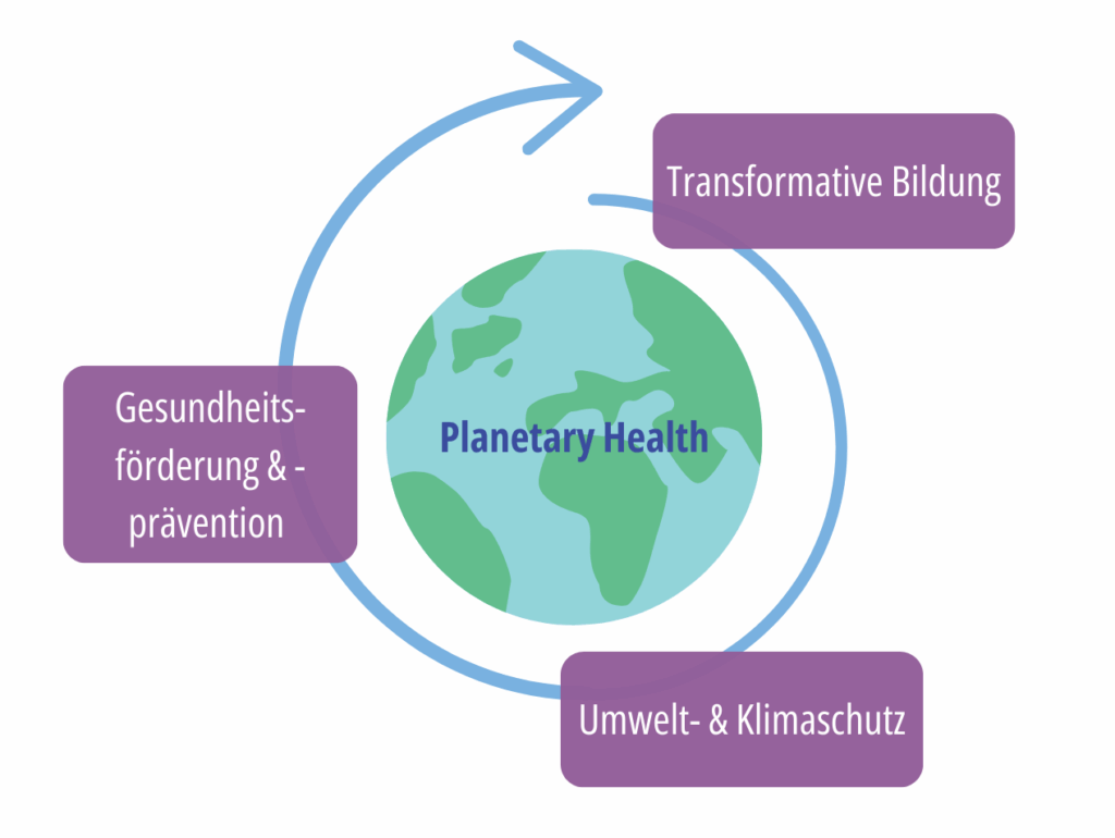 Grafik PHA transformatives Handeln